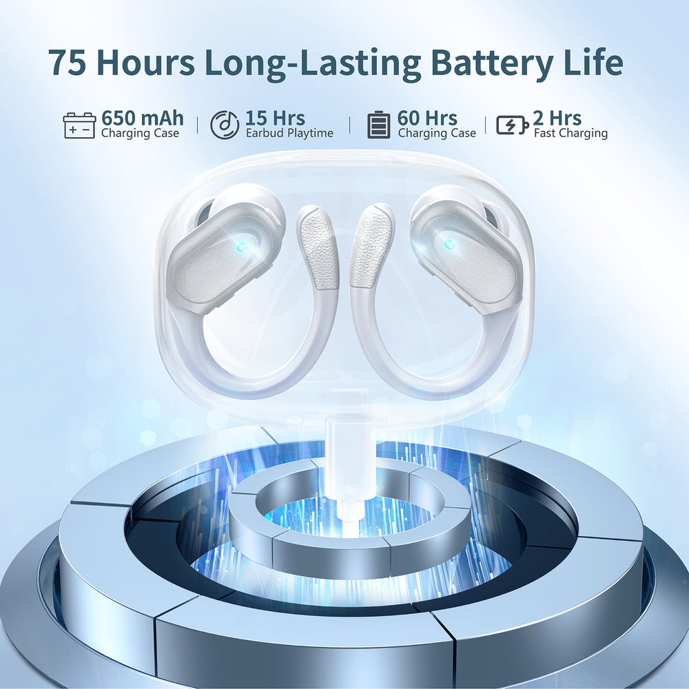 X17 Wireless Earbuds